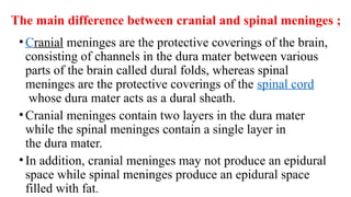 The main difference between cranial and spinal meninges ;
•Cranial meninges are the protective coverings of the brain,
consisting of channels in the dura mater between various
parts of the brain called dural folds, whereas spinal
meninges are the protective coverings of the spinal cord
whose dura mater acts as a dural sheath.
•Cranial meninges contain two layers in the dura mater
while the spinal meninges contain a single layer in
the dura mater.
•In addition, cranial meninges may not produce an epidural
space while spinal meninges produce an epidural space
filled with fat.
 