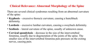 Clinical Relevance: Abnormal Morphology of the Spine
There are several clinical syndromes resulting from an abnormal curvature
of the spine:
• Kyphosis – excessive thoracic curvature, causing a hunchback
deformity.
• Lordosis – excessive lumbar curvature, causing a swayback deformity.
• Scoliosis – lateral curvature of the spine, usually of unknown cause.
• Cervical spondylosis – decrease in the size of the intervertebral
foramina, usually due to degeneration of the joints of the spine. The
smaller size of the intervertebral foramina puts pressure on the exiting
nerves, causing pain.
 