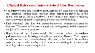 Clinical Relevance: Intervertebral Disc Herniation
• The intervertebral disc is a fibro-cartilaginous cylinder that lies between
the vertebrae, joining them together. They permit the flexibility of the
spine, and act as shock absorbers. In the lumbar and thoracic regions,
they are wedge–shaped – supporting the curvature of the spine.
• Each vertebral disc has two parts: the nucleus pulposus and annulus
fibrosus. The annulus fibrosus is tough and collagenous, and it surrounds
the jelly-like nucleus pulposus.
• Herniation of an intervertebral disc occurs when the nucleus
pulposus ruptures, breaking through the annulus fibrosus. The rupture
usually occurs in a posterior-lateral direction, after which the nucleus
pulposis can irritate nearby spinal nerves – resulting in a variety of
neurological and muscular symptoms.
 