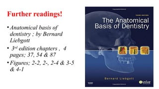 Further readings!
•Anatomical basis of
dentistry ; by Bernard
Liebgott
• 3rd
edition chapters , 4
pages; 37, 54 & 87
•Figures; 2-2, 2-, 2-4 & 3-5
& 4-1
 