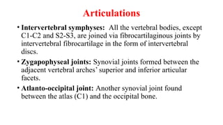 Articulations
• Intervertebral symphyses: All the vertebral bodies, except
C1-C2 and S2-S3, are joined via fibrocartilaginous joints by
intervertebral fibrocartilage in the form of intervertebral
discs.
• Zygapophyseal joints: Synovial joints formed between the
adjacent vertebral arches’ superior and inferior articular
facets.
• Atlanto-occipital joint: Another synovial joint found
between the atlas (C1) and the occipital bone.
 