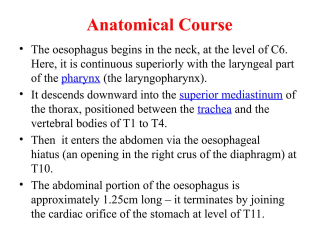 clinically oriented anatomy of Esophagous.pptx