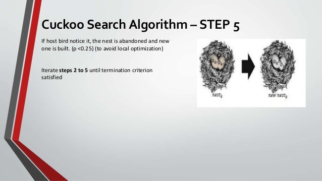 Cuckoo Search Algorithm - Beyazıt Kölemen