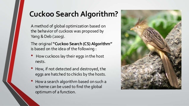 Cuckoo Search Algorithm - Beyazıt Kölemen