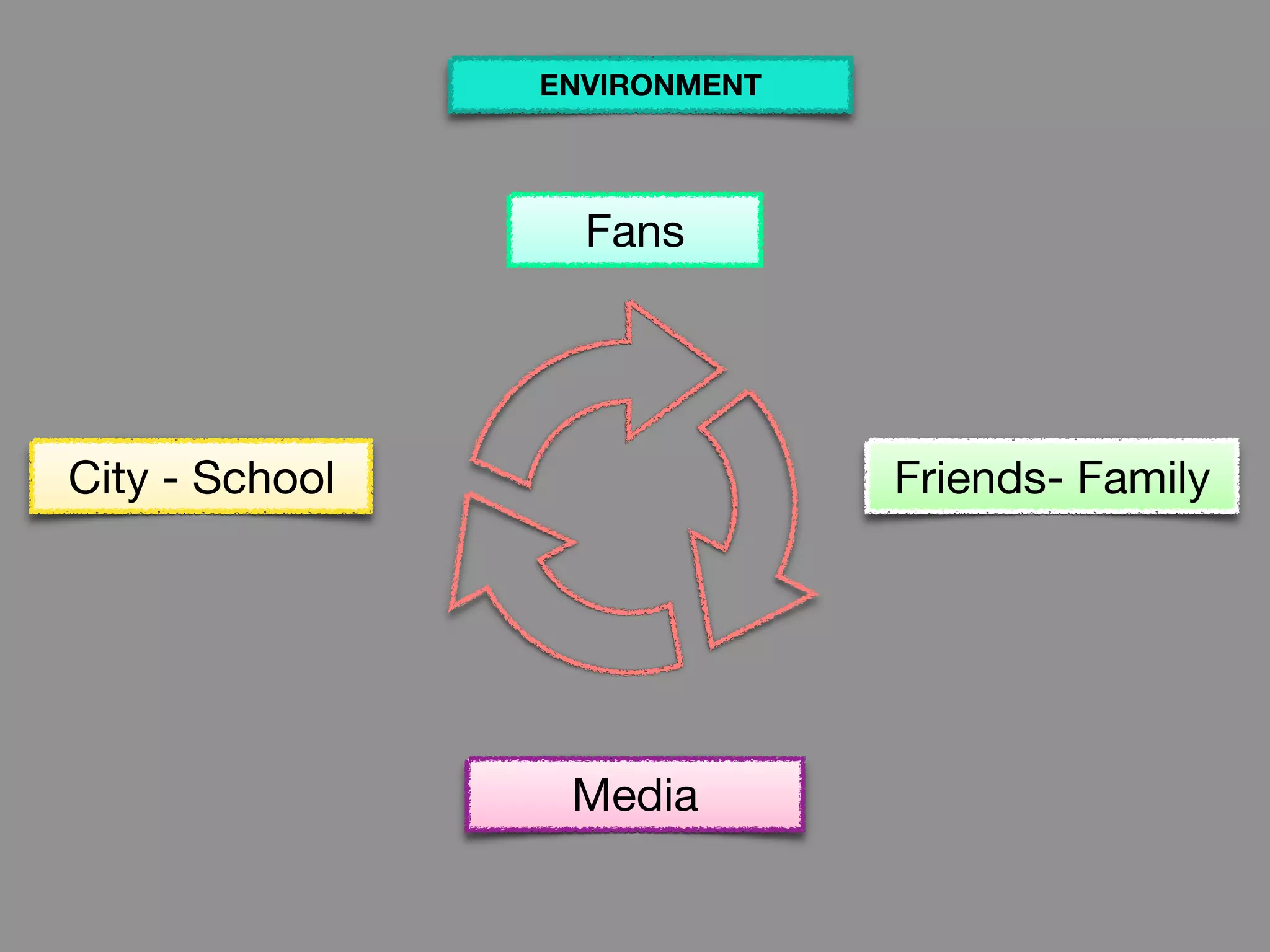 City - School Friends- Family
Media
Fans
ENVIRONMENT
 