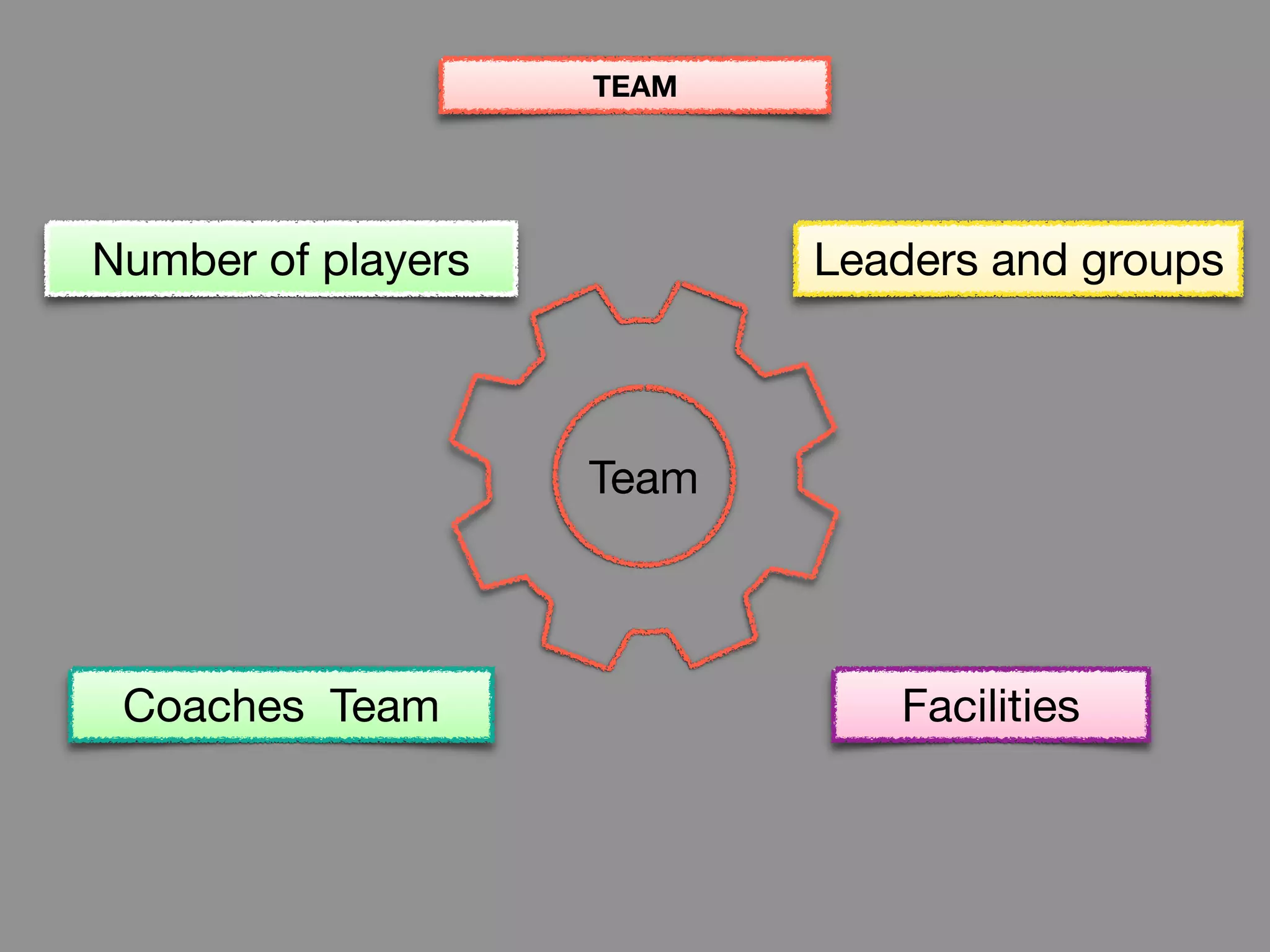 Number of players
Coaches Team
Leaders and groups
Facilities
Team
TEAM
 