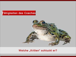 Fähigkeiten des Coaches
Welche „Kröten“ schluckt er?
 