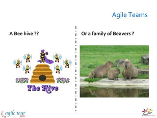 Agile Teams

A Bee hive ??   Or a family of Beavers ?
 