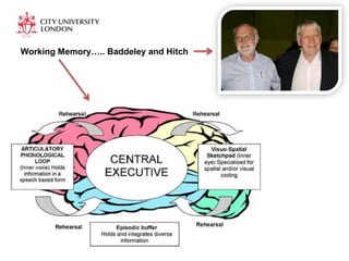 Working Memory….. Baddeley and Hitch
 