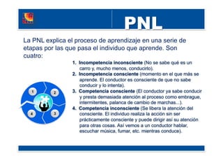 La PNL explica el proceso de aprendizaje en una serie de
etapas por las que pasa el individuo que aprende. Son
cuatro:
1.  Incompetencia inconsciente (No se sabe qué es un
carro y, mucho menos, conducirlo).
2.  Incompetencia consciente (momento en el que más se
aprende. El conductor es consciente de que no sabe
conducir y lo intenta).
3.  Competencia consciente (El conductor ya sabe conducir
y presta demasiada atención al proceso como embrague,
intermitentes, palanca de cambio de marchas...).
4.  Competencia inconsciente (Se libera la atención del
consciente. El individuo realiza la acción sin ser
prácticamente consciente y puede dirigir así su atención
para otras cosas. Así vemos a un conductor hablar,
escuchar música, fumar, etc. mientras conduce).
 