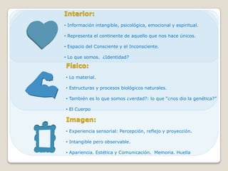 Interior:
• Información intangible, psicológica, emocional y espiritual.

• Representa el continente de aquello que nos hace únicos.

• Espacio del Consciente y el Inconsciente.

• Lo que somos. ¿Identidad?

Físico:
• Lo material.

• Estructuras y procesos biológicos naturales.

• También es lo que somos ¿verdad?: lo que “¿nos dio la genética?”

• El Cuerpo

Imagen:
• Experiencia sensorial: Percepción, reflejo y proyección.

• Intangible pero observable.

• Apariencia. Estética y Comunicación. Memoria. Huella
 