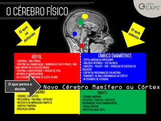 Novo Cérebro Mamífero ou Córtex
O que pensa e
decide
 