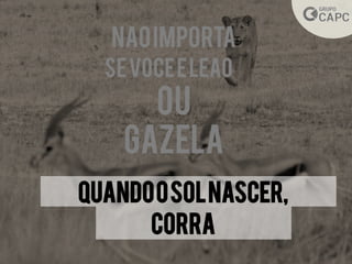 Quandoosolnascer,
CORRA
NAOIMPORTA
SEVOCEELEAO
OU
GAZELA
 