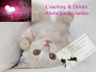 Coaching & Drinks
                    -Ahora por las tardes-




www.tuacierto.com
 