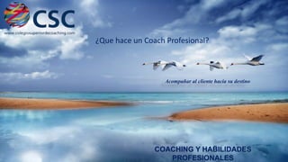 ¿Que hace un Coach Profesional?

Acompañar al cliente hacia su destino

COACHING Y HABILIDADES
PROFESIONALES

20

 