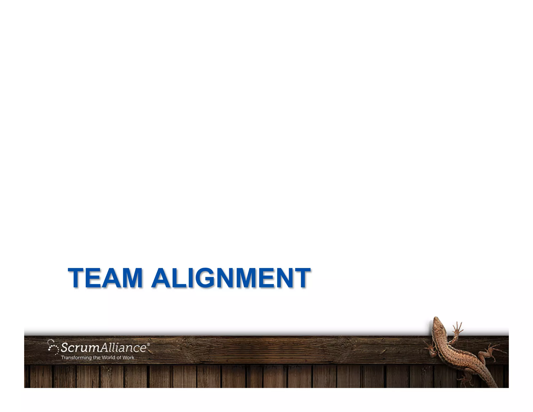 TEAM ALIGNMENT
 