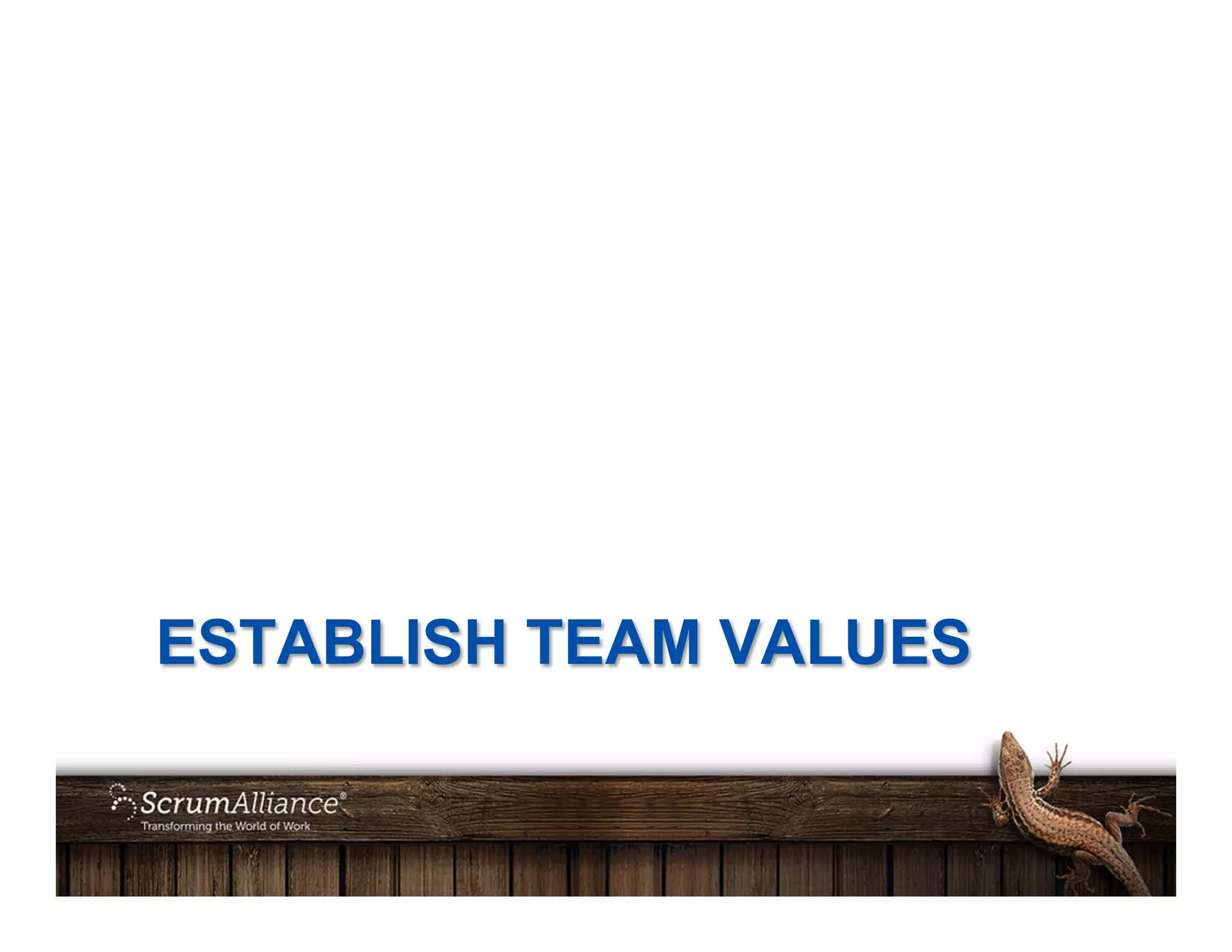 ESTABLISH TEAM VALUES
 