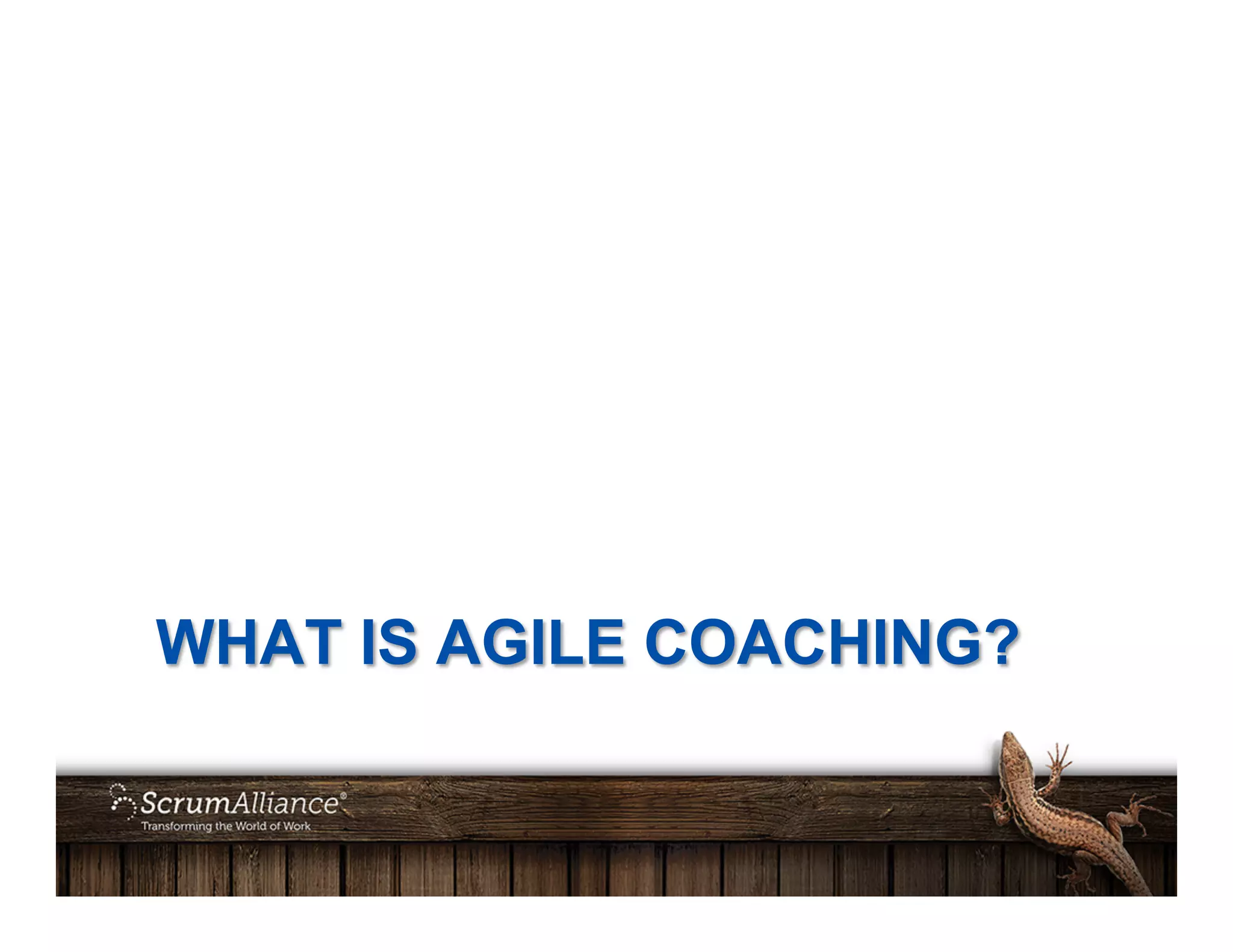 WHAT IS AGILE COACHING?
 