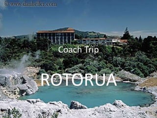 CoachTrip ROTORUA 