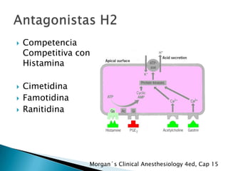 






Competencia
Competitiva con
Histamina
Cimetidina
Famotidina
Ranitidina

Morgan´s Clinical Anesthesiology 4ed, Cap 15

 