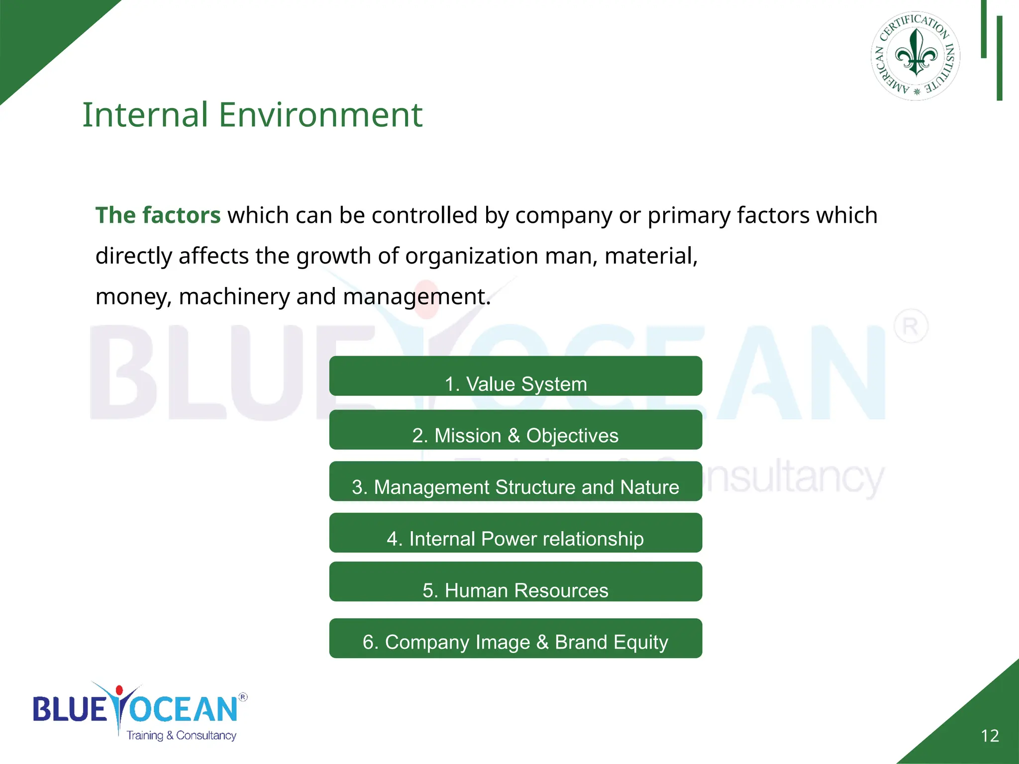 12
Internal Environment
The factors which can be controlled by company or primary factors which
directly affects the growth of organization man, material,
money, machinery and management.
1. Value System
2. Mission & Objectives
3. Management Structure and Nature
4. Internal Power relationship
5. Human Resources
6. Company Image & Brand Equity
 