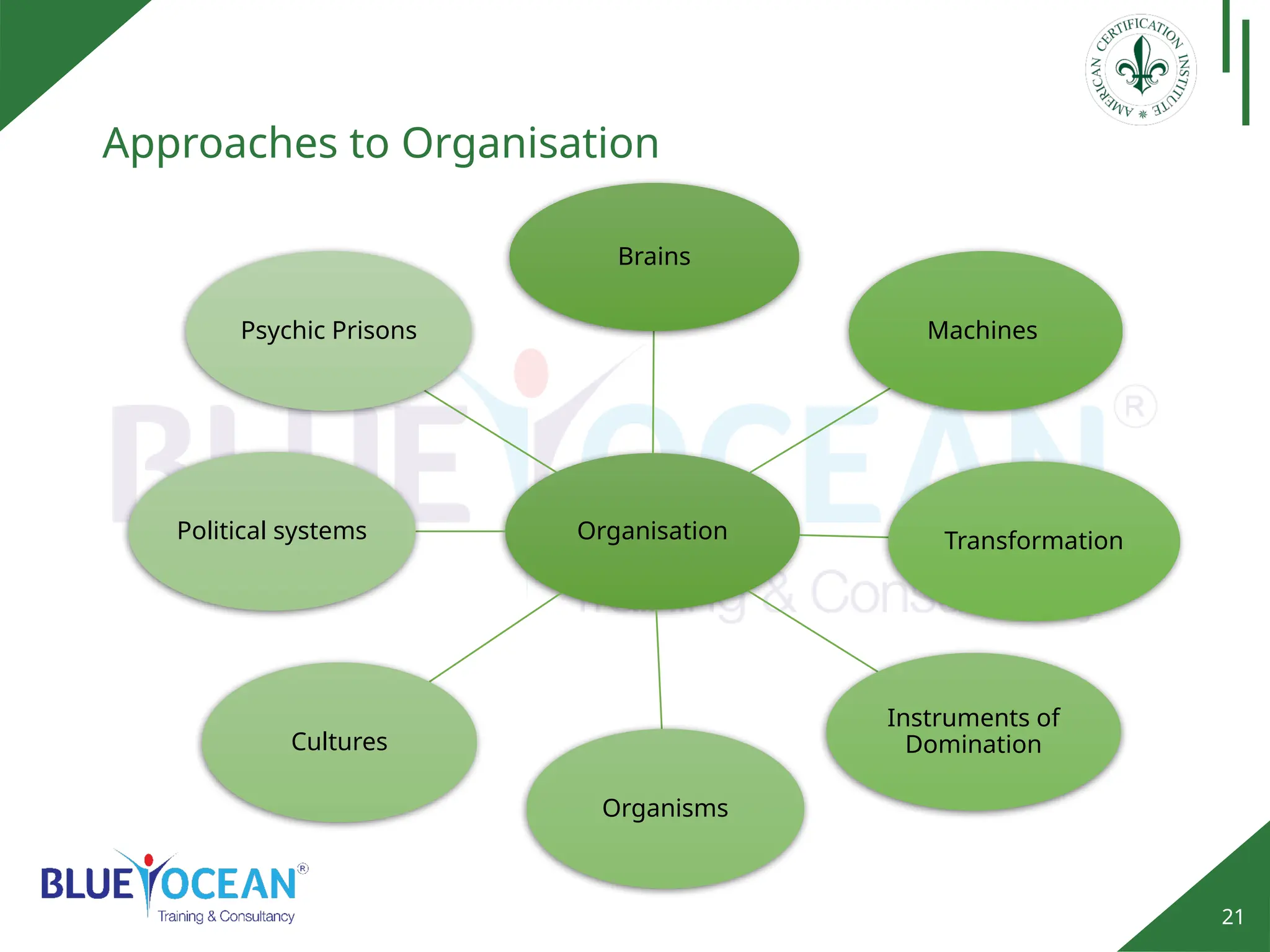 21
Approaches to Organisation
Organisation
Brains
Machines
Transformation
Instruments of
Domination
Organisms
Cultures
Political systems
Psychic Prisons
 