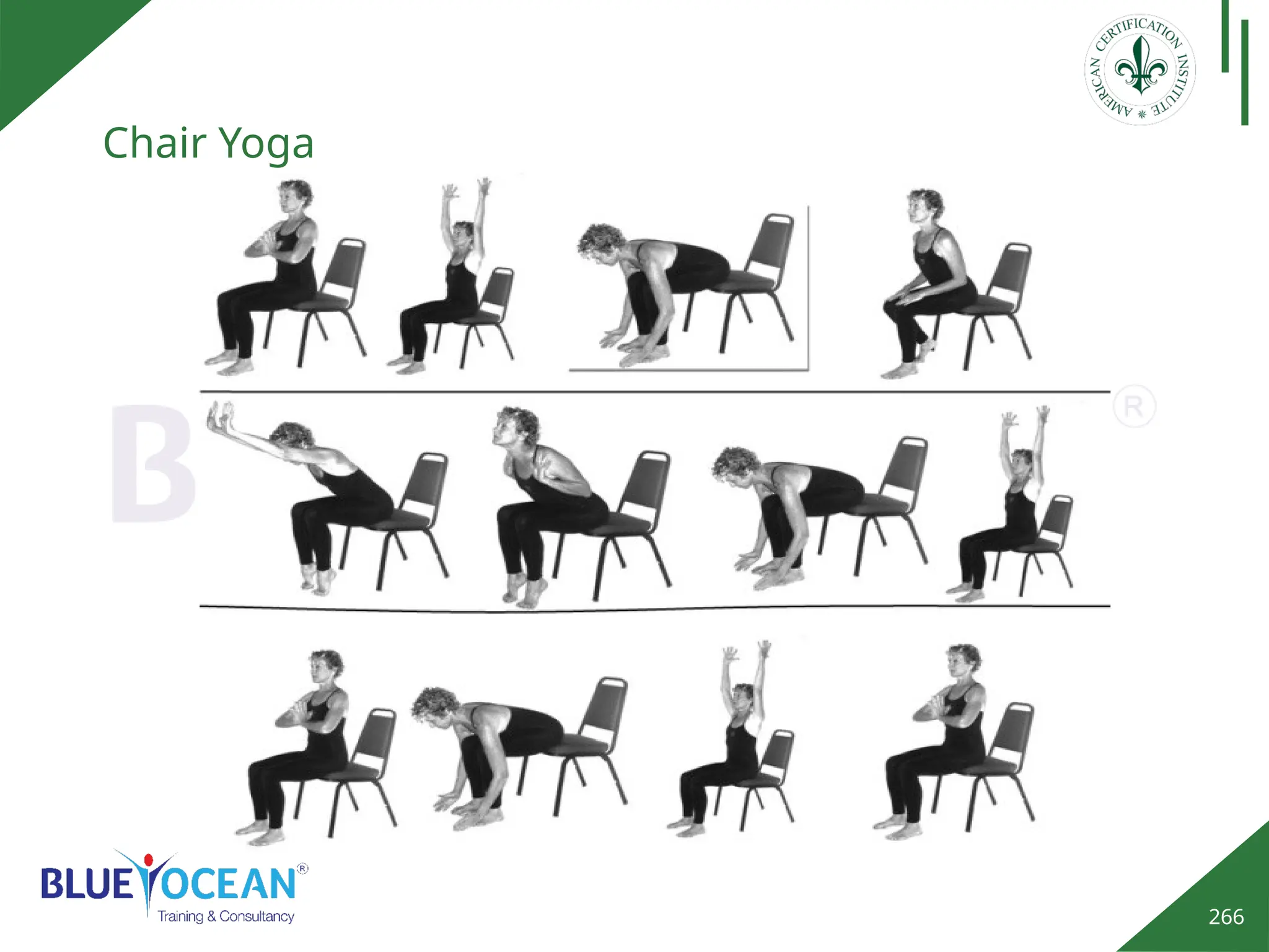 266
Chair Yoga
 