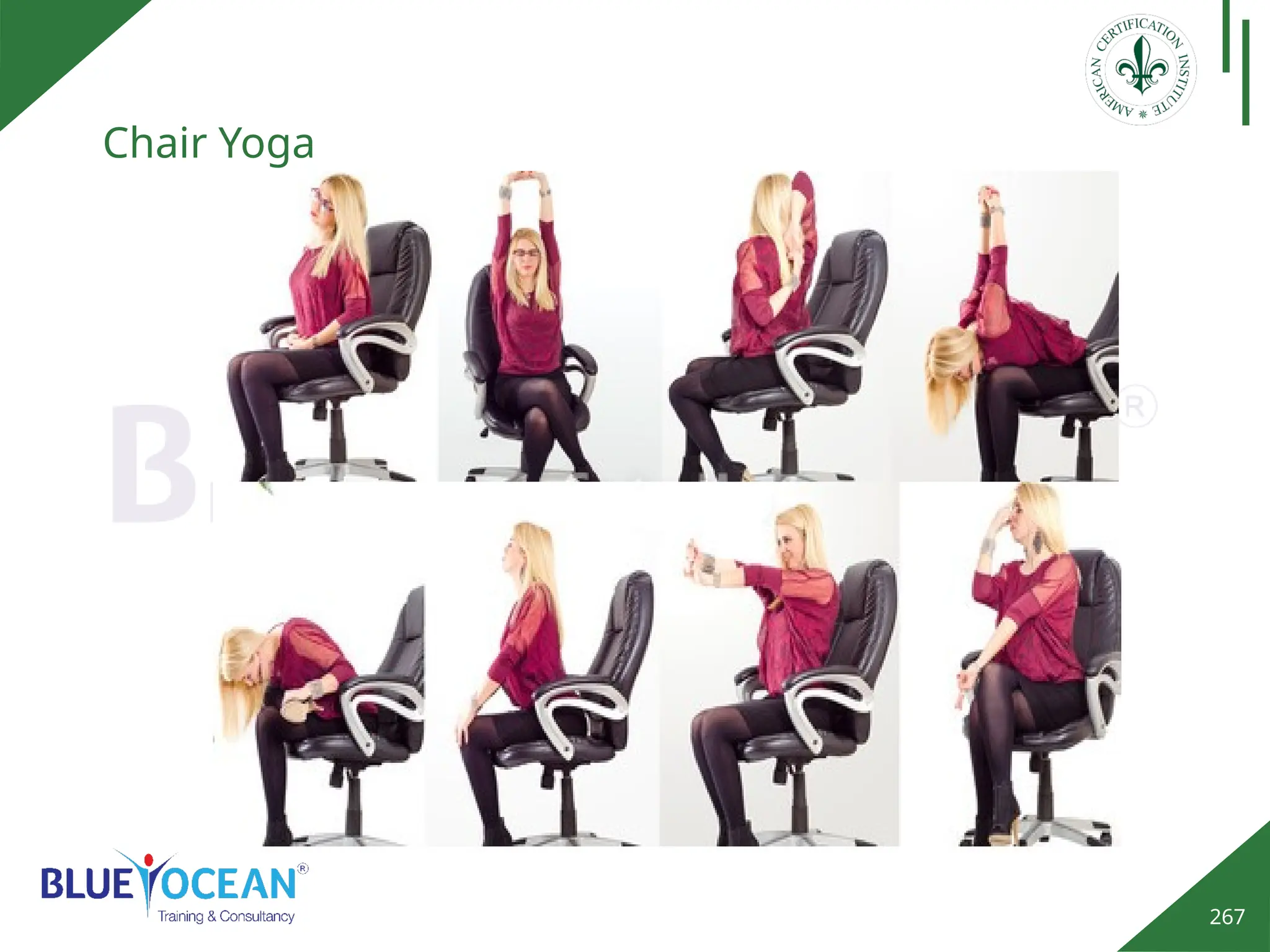 267
Chair Yoga
 