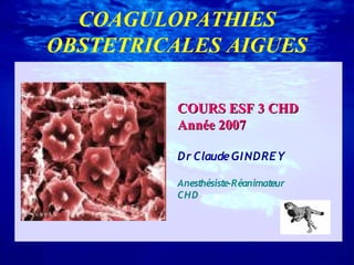 COAGULOPATHIES
OBSTETRICALES AIGUES
COURS ESF 3 CHD
Année 2007
Dr Claude GI NDREY
Anesthésiste-Réanimateur
CH D

 