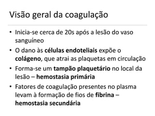 Visão geral da coagulação
• Inicia-se cerca de 20s após a lesão do vaso
  sanguíneo
• O dano às células endoteliais expõe o
  colágeno, que atrai as plaquetas em circulação
• Forma-se um tampão plaquetário no local da
  lesão – hemostasia primária
• Fatores de coagulação presentes no plasma
  levam à formação de fios de fibrina –
  hemostasia secundária
 