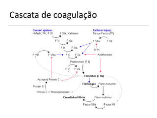 Cascata de coagulação
 