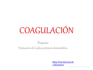 COAGULACIÓN
Plaquetas:
Formación de la placa primaria hemostática
Blog: Para técnicos de
Laboratorio
María Belén Huertas Chacón
 