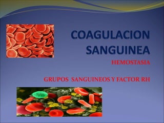 HEMOSTASIA
GRUPOS SANGUINEOS Y FACTOR RH
 