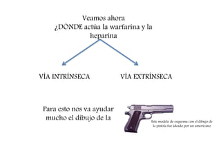 Veamos ahora
¿DÓNDE actúa la warfarina y la
heparina
VÍA INTRÍNSECA VÍA EXTRÍNSECA
Para esto nos va ayudar
mucho el dibujo de la Este modelo de esquema con el dibujo de
la pistola fue ideado por un americano
 