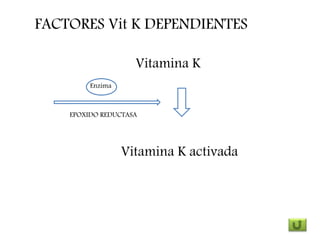 FACTORES Vit K DEPENDIENTES
Vitamina K
Vitamina K activada
Enzima
EPOXIDO REDUCTASA
 