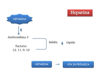 HEPARINA
Antitrombina 3
Inhibe
Factores
12, 11, 9, 10
rápido
HEPARINA VÍA INTRÍNSECA
 