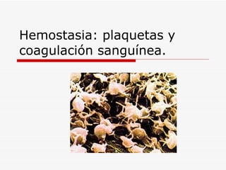 Hemostasia: plaquetas y coagulación sanguínea. 