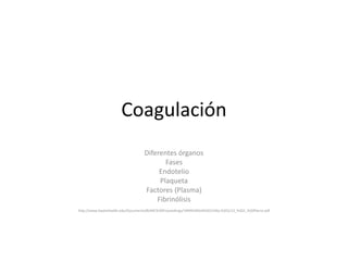 Coagulación
Diferentes órganos
Fases
Endotelio
Plaqueta
Factores (Plasma)
Fibrinólisis
http://www.baylorhealth.edu/Documents/BUMC%20Proceedings/1999%20Vol%2012/No.%201/12_%201_%20Pierce.pdf
 