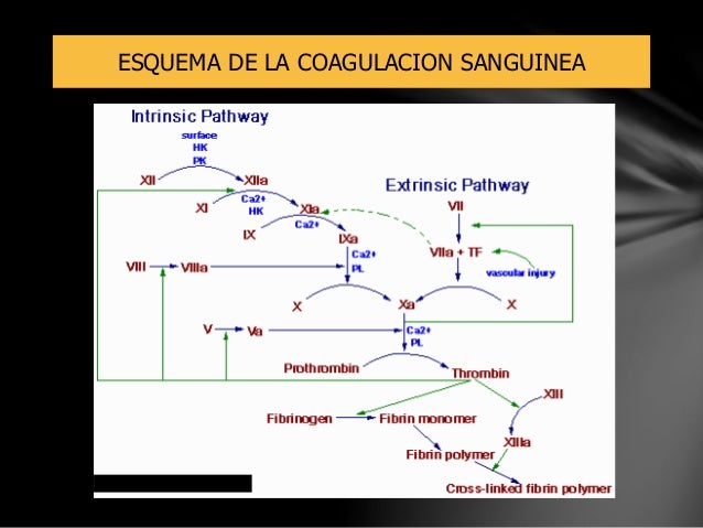 Teoria de la Coagulacion y mecanismo de acción y usos de