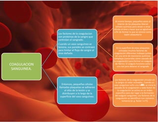 COAGULACION
SANGUINEA.
Los factores de la coagulacion
son proteinas de la sangre que
controlan el sangrado.
Cuando un vaso sanguíneo se
lesiona, sus paredes se contraen
para limitar el flujo de sangre al
área dañada.
Al mismo tiempo, pequeños sacos al
interior de las plaquetas liberan
señales químicas para atraer a otras
células al área y hacer que se aglutinen
a fin de formar lo que se conoce como
tapón plaquetario
En la superficie de estas plaquetas
activadas muchos factores de
coagulación diferentes trabajan juntos
en una serie de reacciones químicas
complejas (conocidas como cascada de
la coagulación) para formar un coágulo
de fibrina. El coágulo funciona como
una red para detener el sangrado
Entonces, pequeñas células
llamadas plaquetas se adhieren
al sitio de la lesión y se
distribuyen a lo largo de la
superficie del vaso sanguíneo.
Los factores de la coagulación circulan en
la sangre sin estar activados. Cuando un
vaso sanguíneo sufre una lesión se inicia la
cascada de la coagulación y cada factor de
la coagulación se activa en un orden
específico para dar lugar a la formación
del coágulo sanguíneo. Los factores de la
coagulación se identifican con números
romanos (e. g. factor I o FI).
O2
 