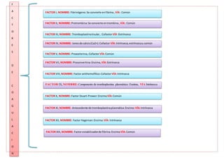 F
A
C
T
O
R
E
S
D
E
C
O
A
G
U
L
A
C
I
O
N
FACTOR I, NOMBRE: Fibrinógeno:Se convierte enfibrina, VÍA: Común
FACTOR II, NOMBRE: Protrombina:Se convierte entrombina, VÍA: Común
FACTOR III,NOMBRE: Tromboplastinatisular,:CofactorVÍA :Extrínseca
FACTOR IV, NOMBRE: Ionesde calcio(Ca2+):Cofactor VÍA:Intrínseca,extrínsecay común
FACTOR V, NOMBRE: Proacelerina,:CofactorVÍA:Común
FACTOR VII,NOMBRE: Proconvertina:Enzima,VÍA:Extrínseca
FACTOR VIII,NOMBRE: Factor antihemofilico:CofactorVÍA:Intrínseca
FACTOR IX,NOMBRE: Componente de tromboplastina plasmática: Enzima, VÍA Intrínseca
FACTOR X, NOMBRE: Factor Stuart-Prower:EnzimaVÍA:Común
FACTOR XI, NOMBRE: Antecedente de tromboplastinaplasmática:Enzima:VÍA:Intrínseca
FACTOR XII, NOMBRE: Factor Hageman:Enzima:VÍA: Intrínseca
FACTOR XIII, NOMBRE: Factor estabilizadorde fibrina:Enzima VÍA:Común
 
