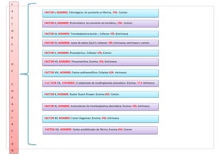 F
A
C
T
O
R
E
S
D
E
C
O
A
G
U
L
A
C
I
O
N
FACTOR I, NOMBRE: Fibrinógeno: Se convierte en fibrina , VÍA : Común
FACTOR II, NOMBRE: Protrombina: Se convierte en trombina , VÍA : Común
FACTOR III, NOMBRE: Tromboplastina tisular, : Cofactor VÍA :Extrínseca
FACTOR IV, NOMBRE: Iones de calcio (Ca2+): Cofactor VÍA: Intrínseca, extrínseca y común
FACTOR V, NOMBRE: Proacelerina,: Cofactor VÍA: Común
FACTOR VII, NOMBRE: Proconvertina: Enzima, VÍA: Extrínseca
FACTOR VIII, NOMBRE: Factor antihemofilico: Cofactor VÍA: Intrínseca
FACTOR IX, NOMBRE: Componente de tromboplastina plasmática: Enzima, VÍA Intrínseca
FACTOR X, NOMBRE: Factor Stuart-Prower: Enzima VÍA: Común
FACTOR XI, NOMBRE: Antecedente de tromboplastina plasmática: Enzima: VÍA: Intrínseca
FACTOR XII, NOMBRE: Factor Hageman: Enzima: VÍA: Intrínseca
FACTOR XIII, NOMBRE: Factor estabilizador de fibrina: Enzima VÍA: Común
 