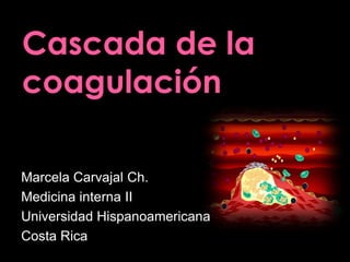 Marcela Carvajal Ch.
Medicina interna II
Universidad Hispanoamericana
Costa Rica
 
