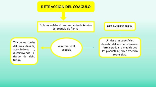 PROCESO DE COAGULACION SANGUINEA