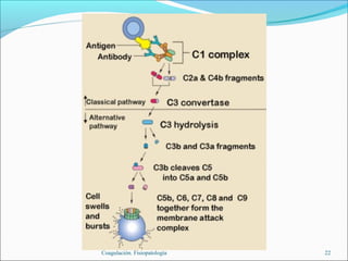 Coagulación. Fisiopatología   22
 