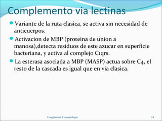 Complemento via lectinas
Variante de la ruta clasica, se activa sin necesidad de
 anticuerpos.
Activacion de MBP (proteina de union a
 manosa),detecta residuos de este azucar en superficie
 bacteriana, y activa al complejo C1qrs.
La esterasa asociada a MBP (MASP) actua sobre C4, el
 resto de la cascada es igual que en via clasica.




               Coagulación. Fisiopatología                 24
 