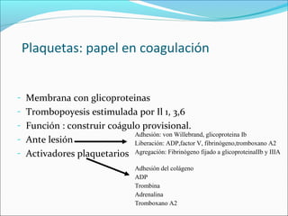 Plaquetas: papel en coagulación


- Membrana con glicoproteinas
- Trombopoyesis estimulada por Il 1, 3,6
- Función : construir coágulo provisional.
                            Adhesión: von Willebrand, glicoproteina Ib
- Ante lesión               Liberación: ADP,factor V, fibrinógeno,tromboxano A2
- Activadores plaquetarios         Agregación: Fibrinógeno fijado a glicoproteinaIIb y IIIA

                                   Adhesión del colágeno
                                   ADP
                                   Trombina
                                   Adrenalina
                                   Tromboxano A2
 