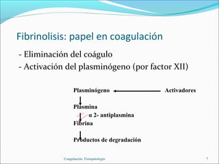 Fibrinolisis: papel en coagulación
- Eliminación del coágulo
- Activación del plasminógeno (por factor XII)

                  Plasminógeno               Activadores

                  Plasmina
                        α 2- antiplasmina
                  Fibrina

                  Productos de degradación


            Coagulación. Fisiopatología                    7
 