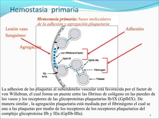 Hemostasia primaria
                    Hemostasia primaria: bases moleculares
                    de la adhesión y agregación plaquetaria
  Lesión vaso                                                         Adhesión
  Sanguíneo

          Agregación




La adhesion de las plaquetas al subendotelio vascular está favorecida por el factor de
von Willebran, el cual forma un puente entre las fibrinas de colágeno en las paredes de
los vasos y los receptores de las glicoproteinas plaquetarias Ib/IX (GpIbIX). De
manera similar , la agregación plaquetaria está mediada por el fibrinógeno el cual se
une a las plaquetas por medio de los receptores de los receptores plaquetarios del
complejo glicoproteina IIb y IIIa (GpIIb-IIIa).                                      8
 