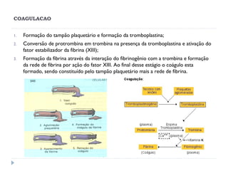 COAGULACAO
1. Formação do tampão plaquetário e formação da tromboplastina;
2. Conversão de protrombina em trombina na presença da tromboplastina e ativação do
fator estabilizador da fibrina (XIII);
3. Formação da fibrina através da interação do fibrinogênio com a trombina e formação
da rede de fibrina por ação do fator XIII. Ao final desse estágio o coágulo esta
formado, sendo constituído pelo tampão plaquetário mais a rede de fibrina.
 